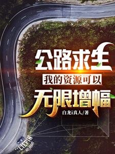 公路求生:我的資源可以無限增幅