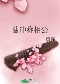 曹冲称相公